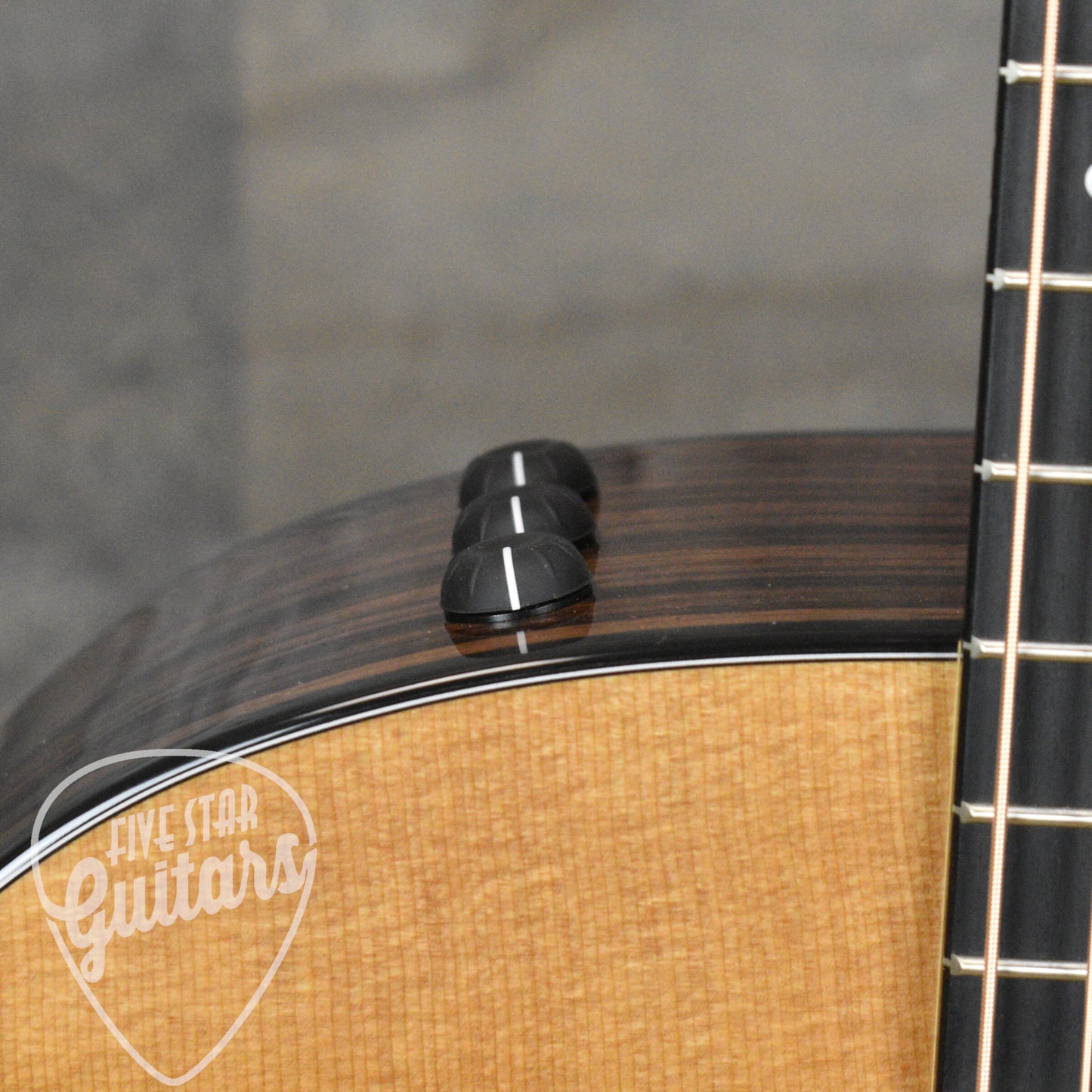 Taylor 214ce Plus with Aerocase