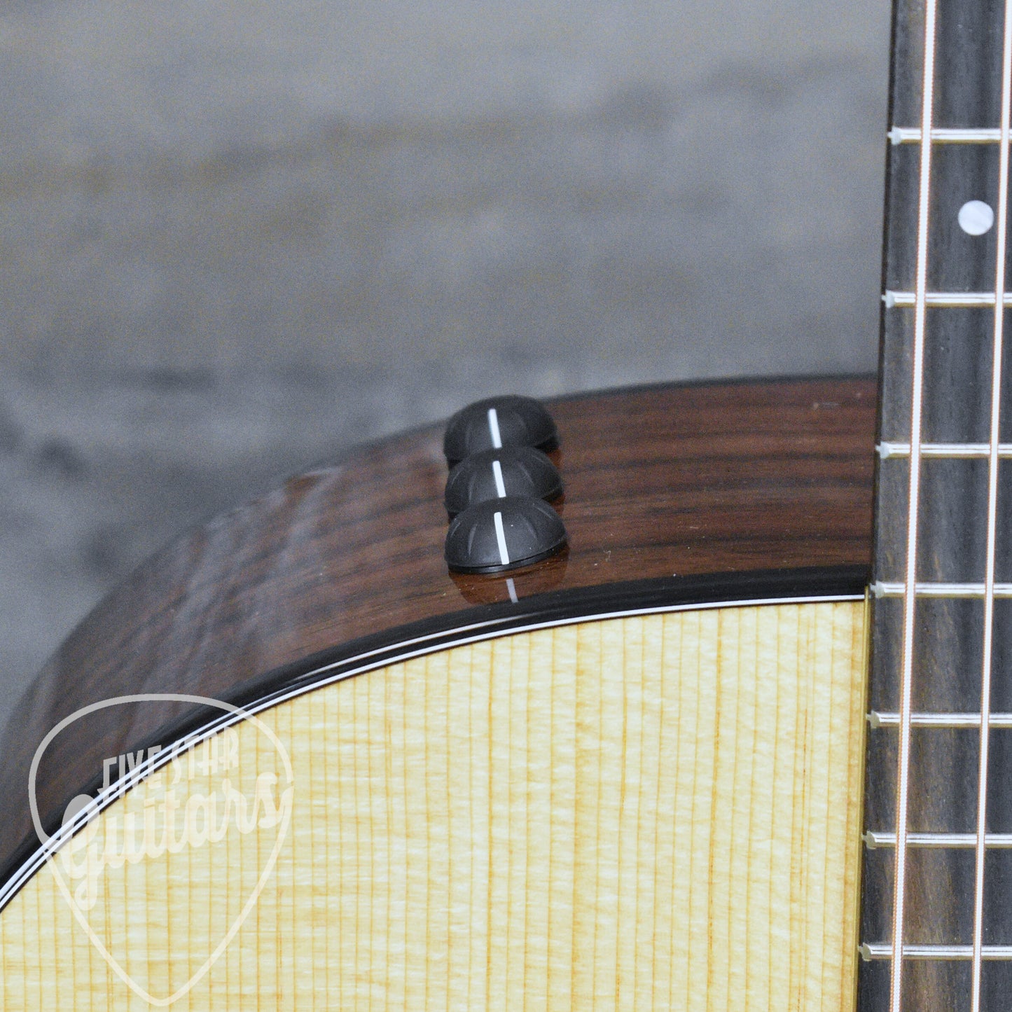 Taylor 214ce Plus with Aerocase