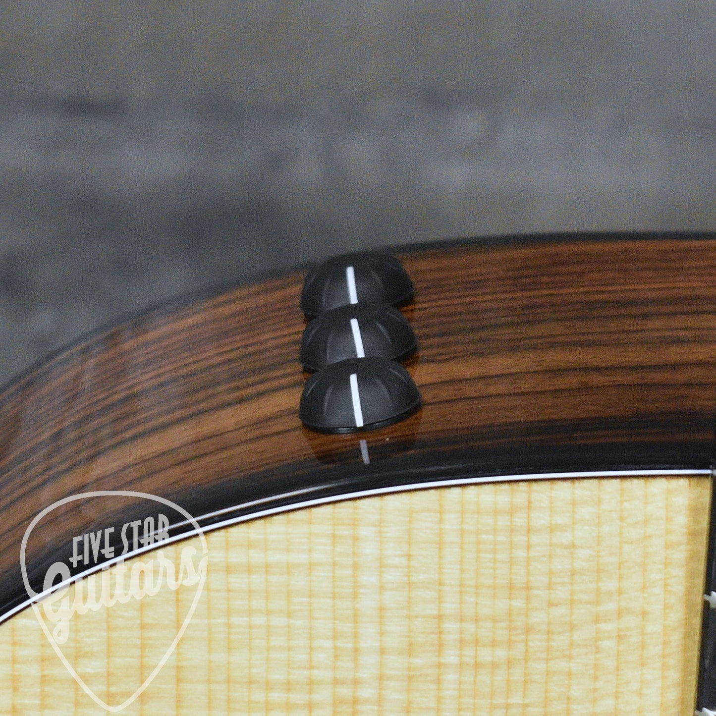 Taylor 214ce Plus with Aerocase