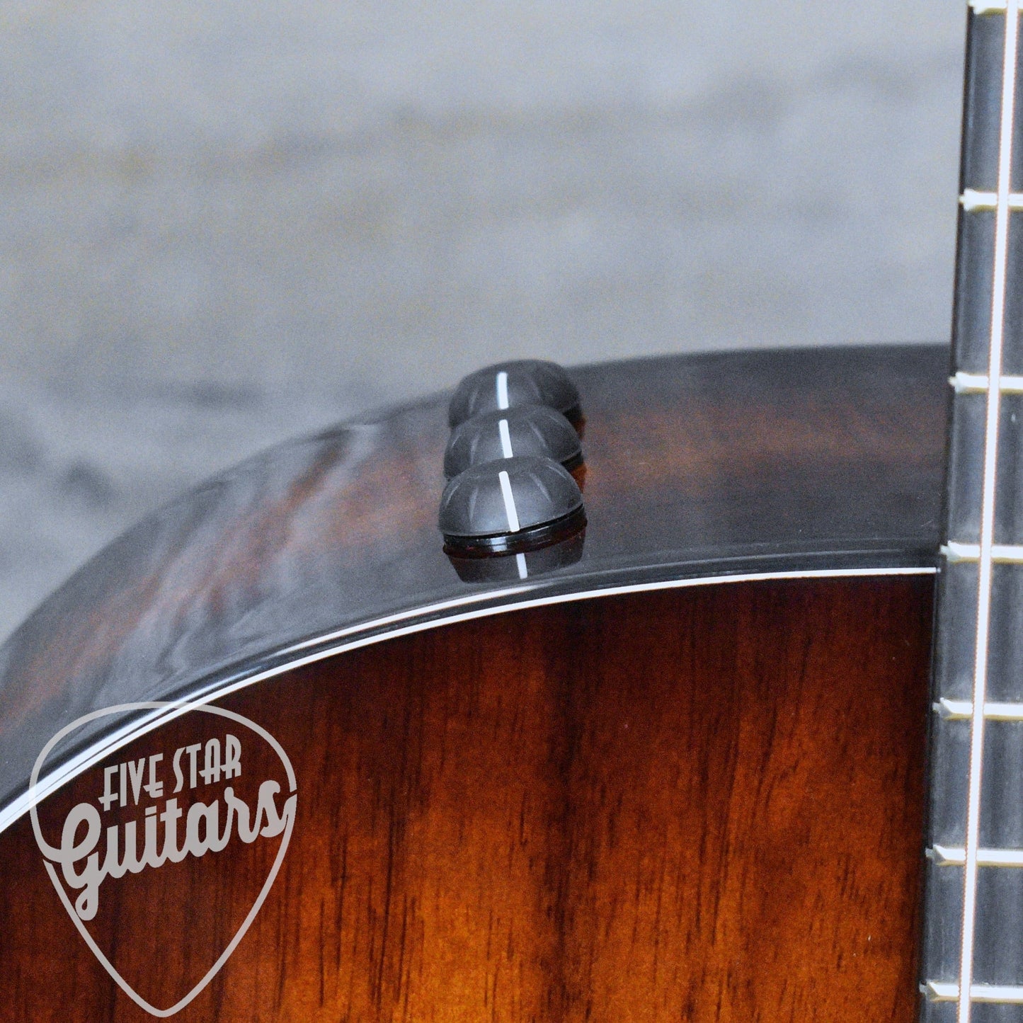 Taylor 224ce-K DLX 2024 - Shaded Edgeburst with Hard Shell Case