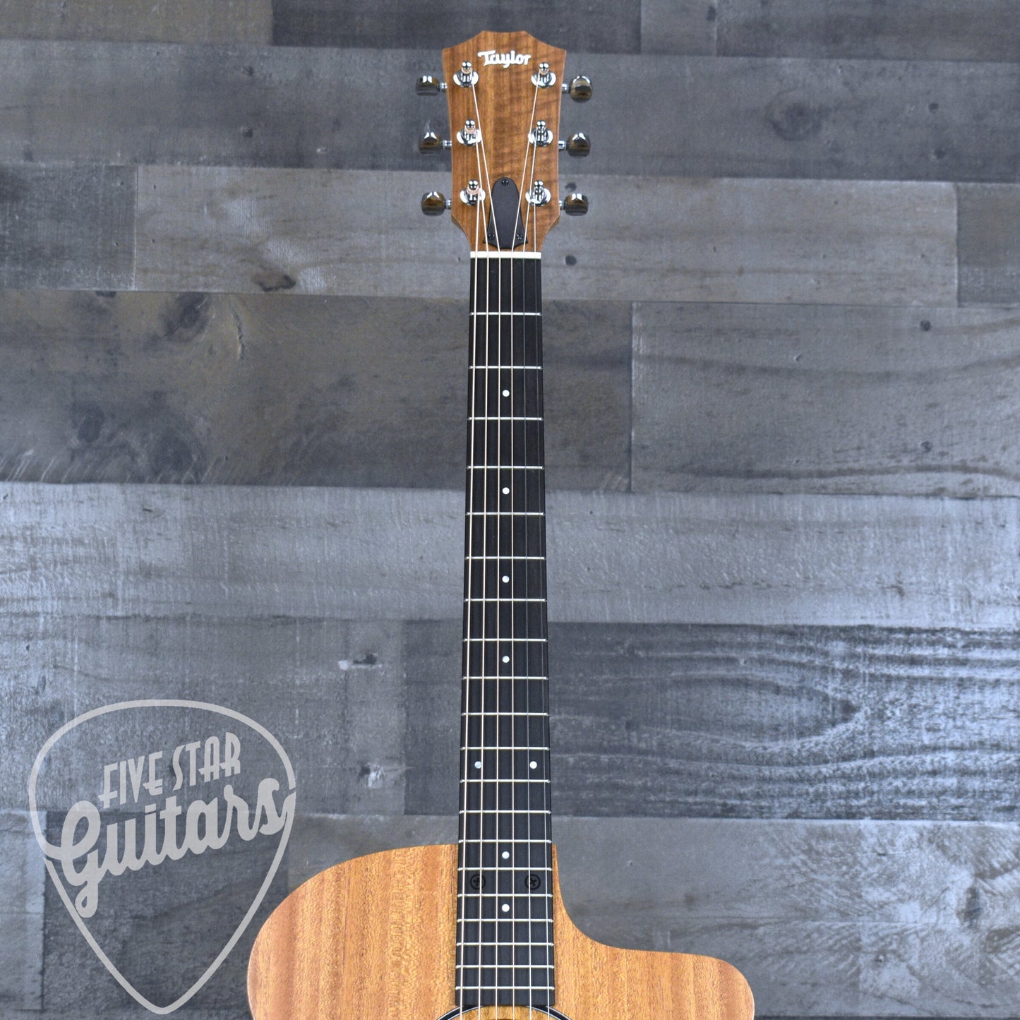 Taylor 24ce - Natural Mahogany with Gigbag