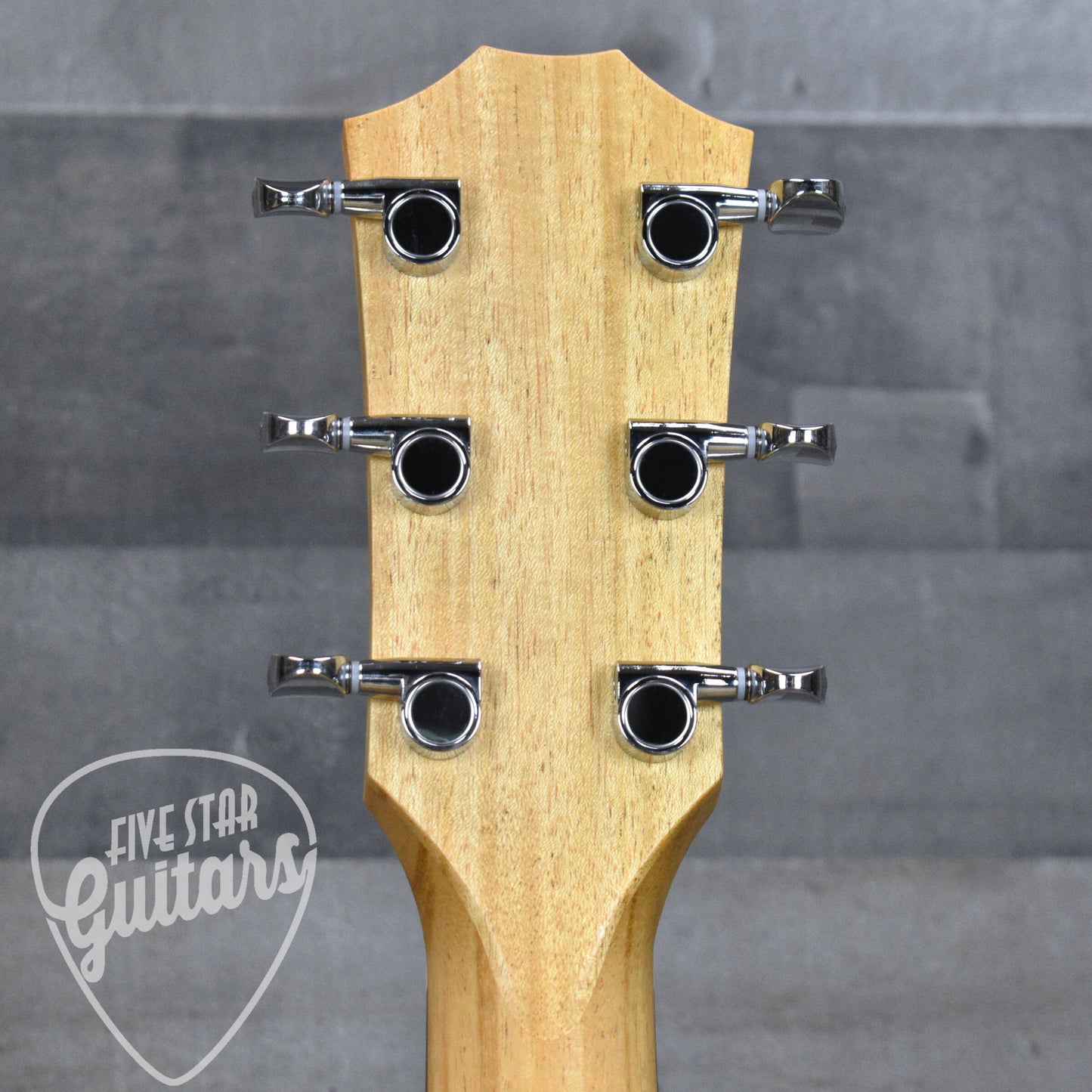 Taylor 24ce - Natural Mahogany with Gigbag