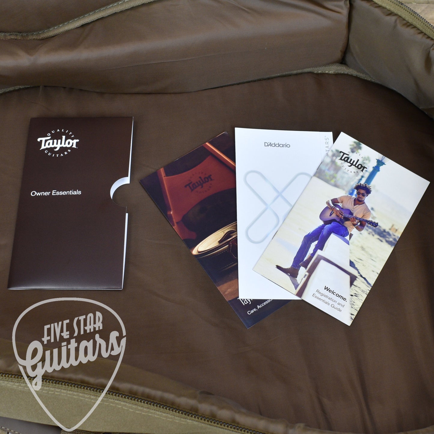 Taylor 24ce - Natural Mahogany with Gigbag