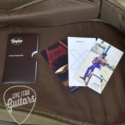 Taylor 24ce - Natural Mahogany with Gigbag