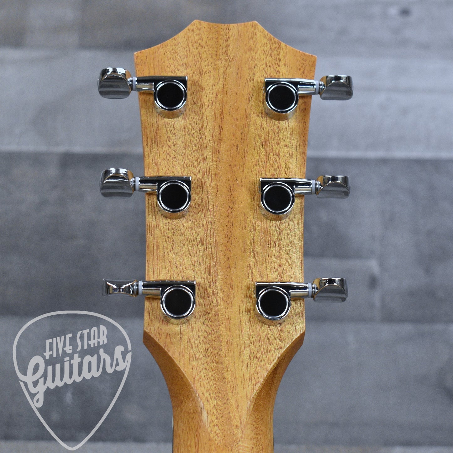 Taylor 24ce - Natural Mahogany with Gigbag