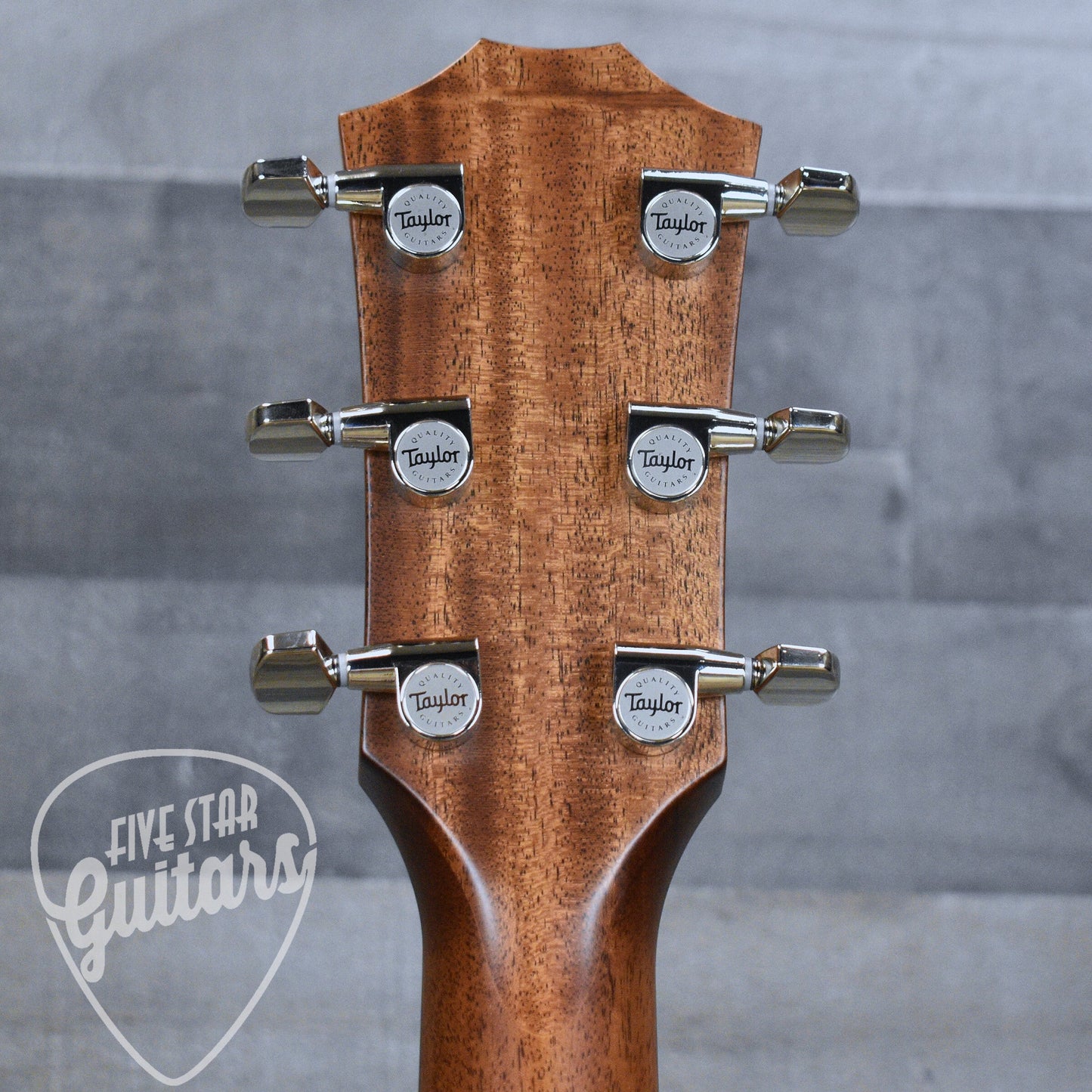 Taylor 314ce Next-Gen Grand Auditorium Acoustic Guitar - Natural with Hardshell Case