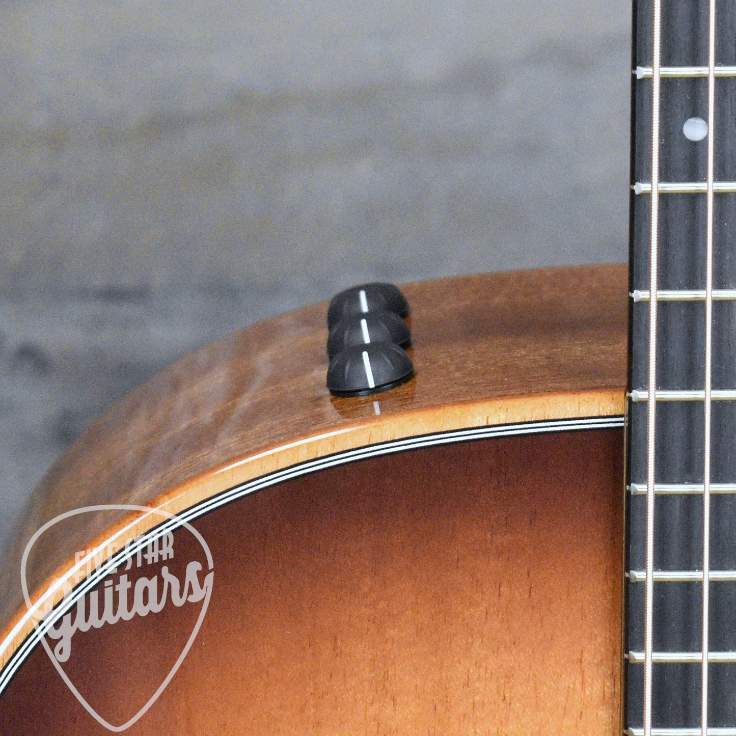Taylor 324ce Studio Special Edition - Mahogany Glow with Gigbag