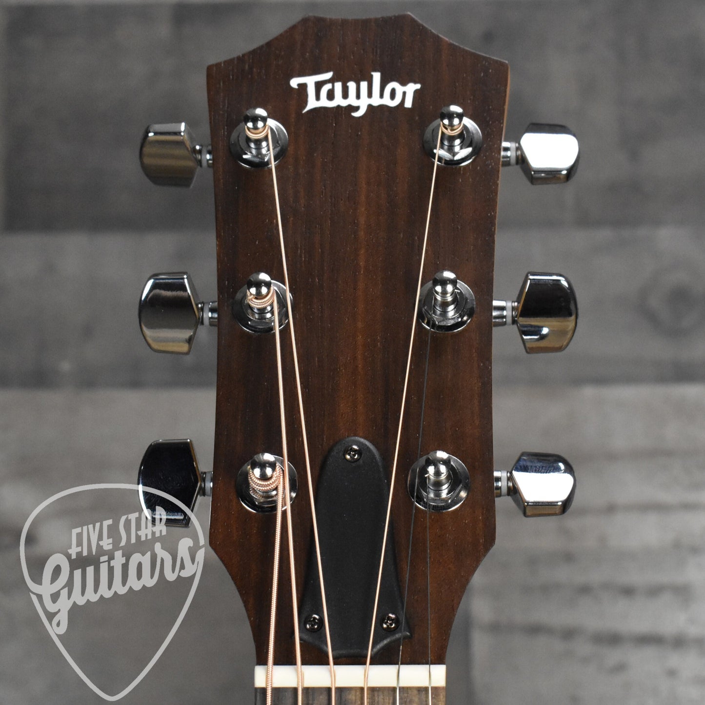 Taylor Academy 10e with Gig Bag