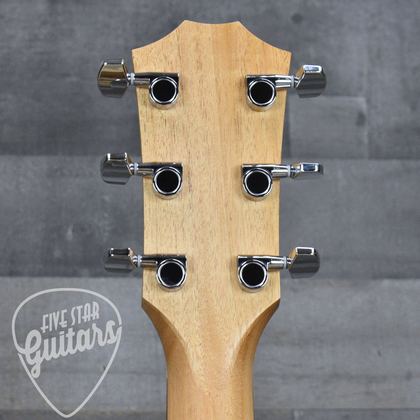 Taylor Academy 10e with Gig Bag