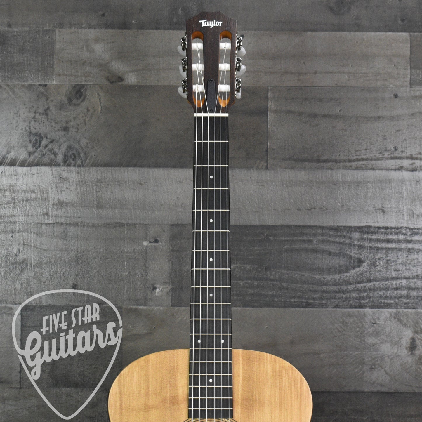 Taylor Academy 12e-N with Gig Bag