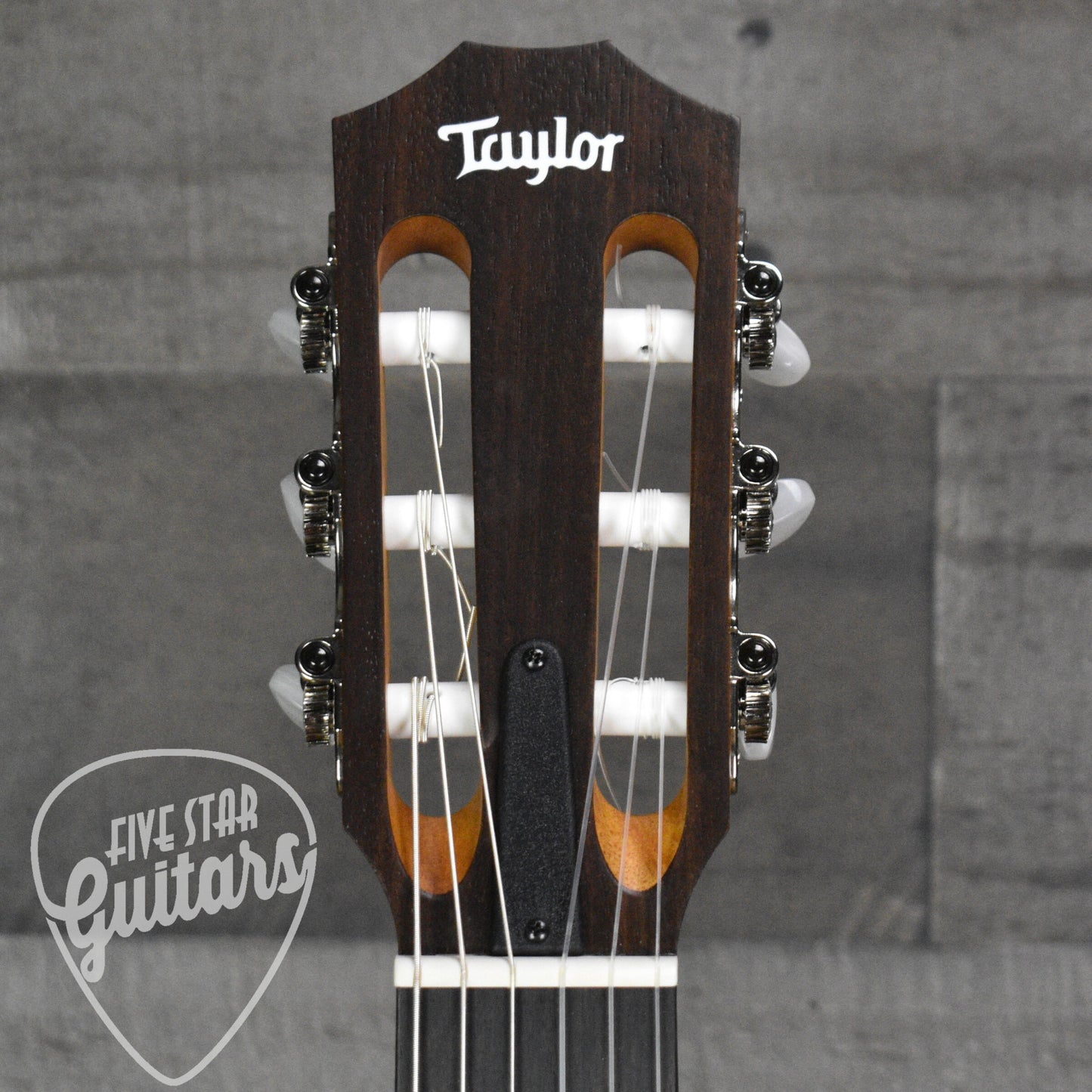 Taylor Academy 12e-N with Gig Bag
