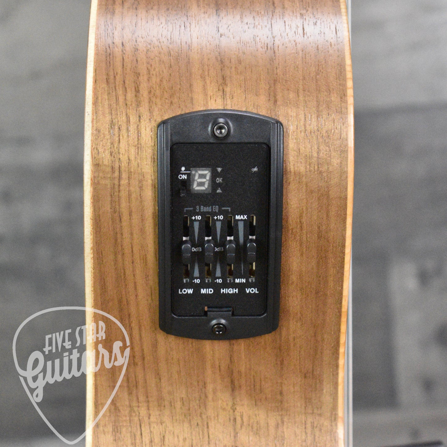 Taylor Academy 12e-N with Gig Bag