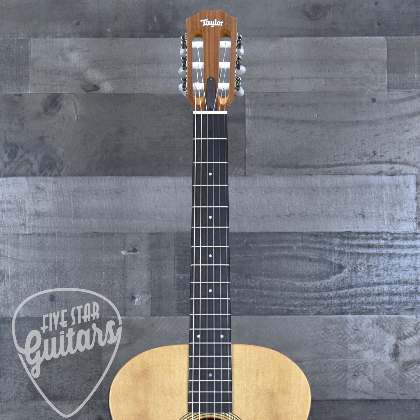 Taylor Academy 12e-N with Gig Bag