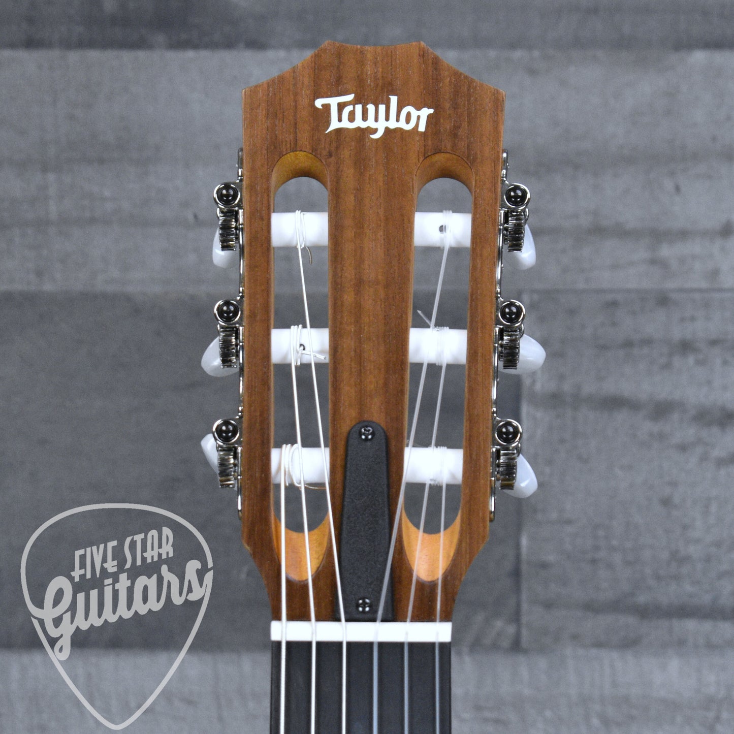 Taylor Academy 12e-N with Gig Bag