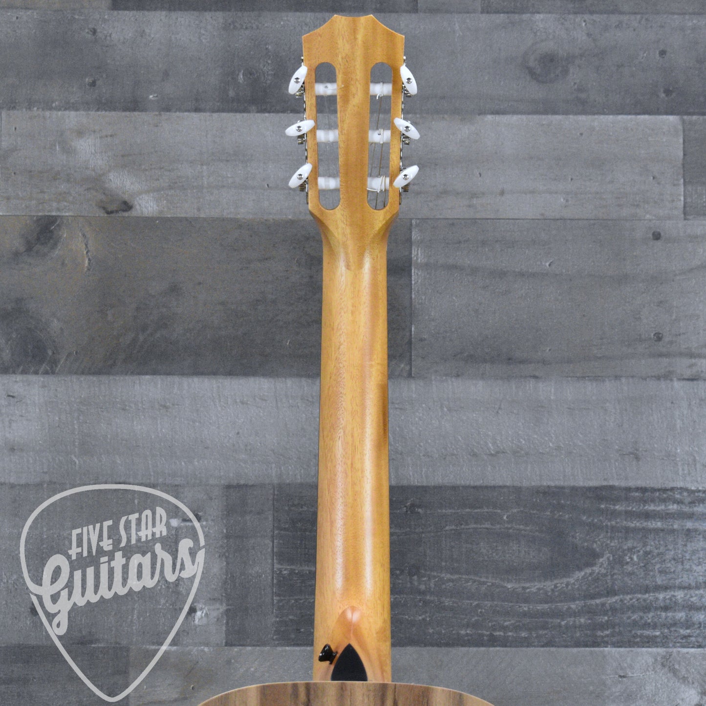 Taylor Academy 12e-N with Gig Bag