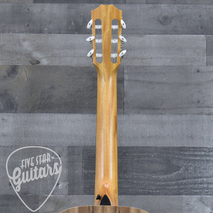 Taylor Academy 12e-N with Gig Bag