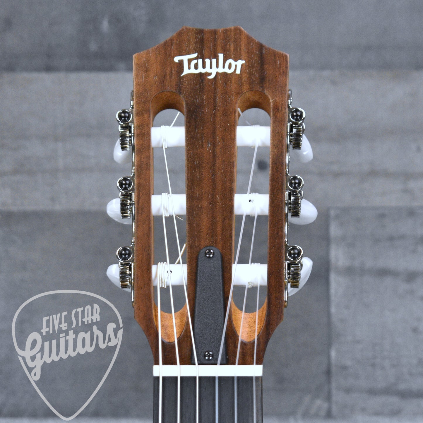 Taylor Academy 12e-N with Gig Bag