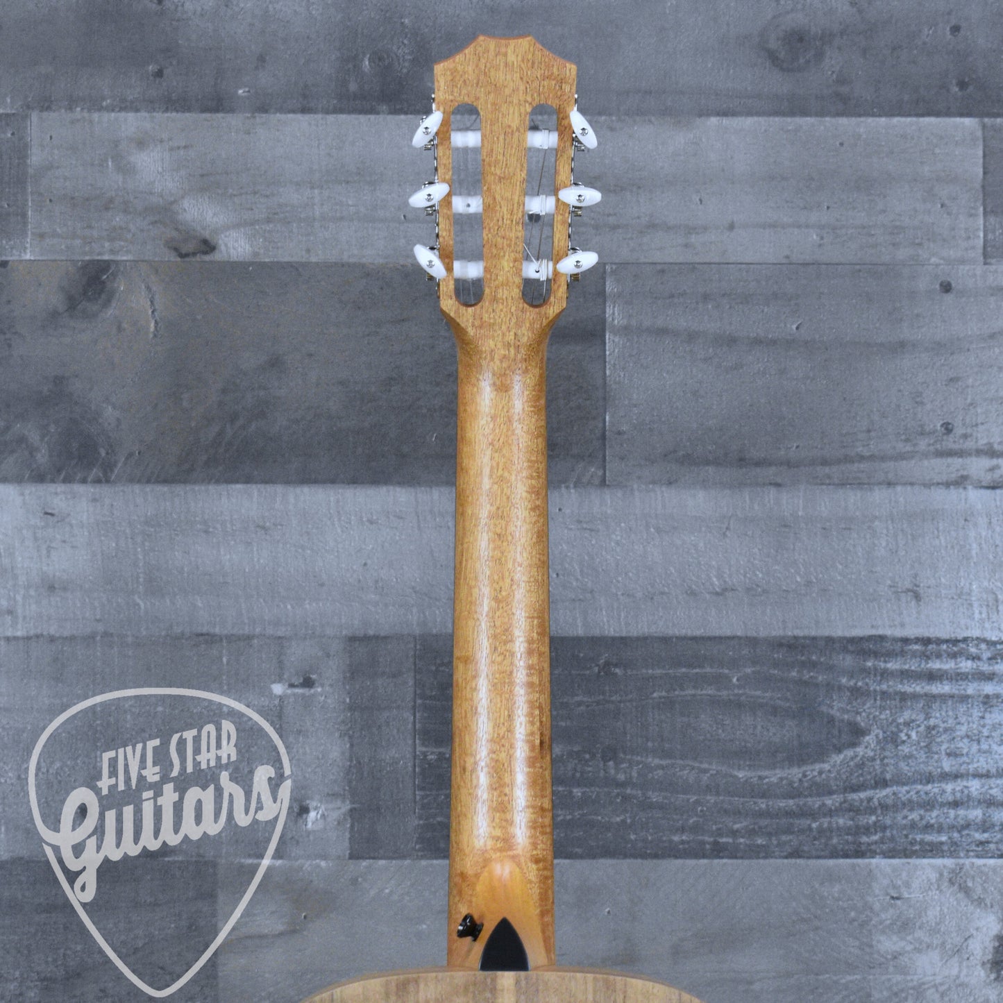Taylor Academy 12e-N with Gig Bag