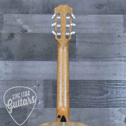 Taylor Academy 12e-N with Gig Bag