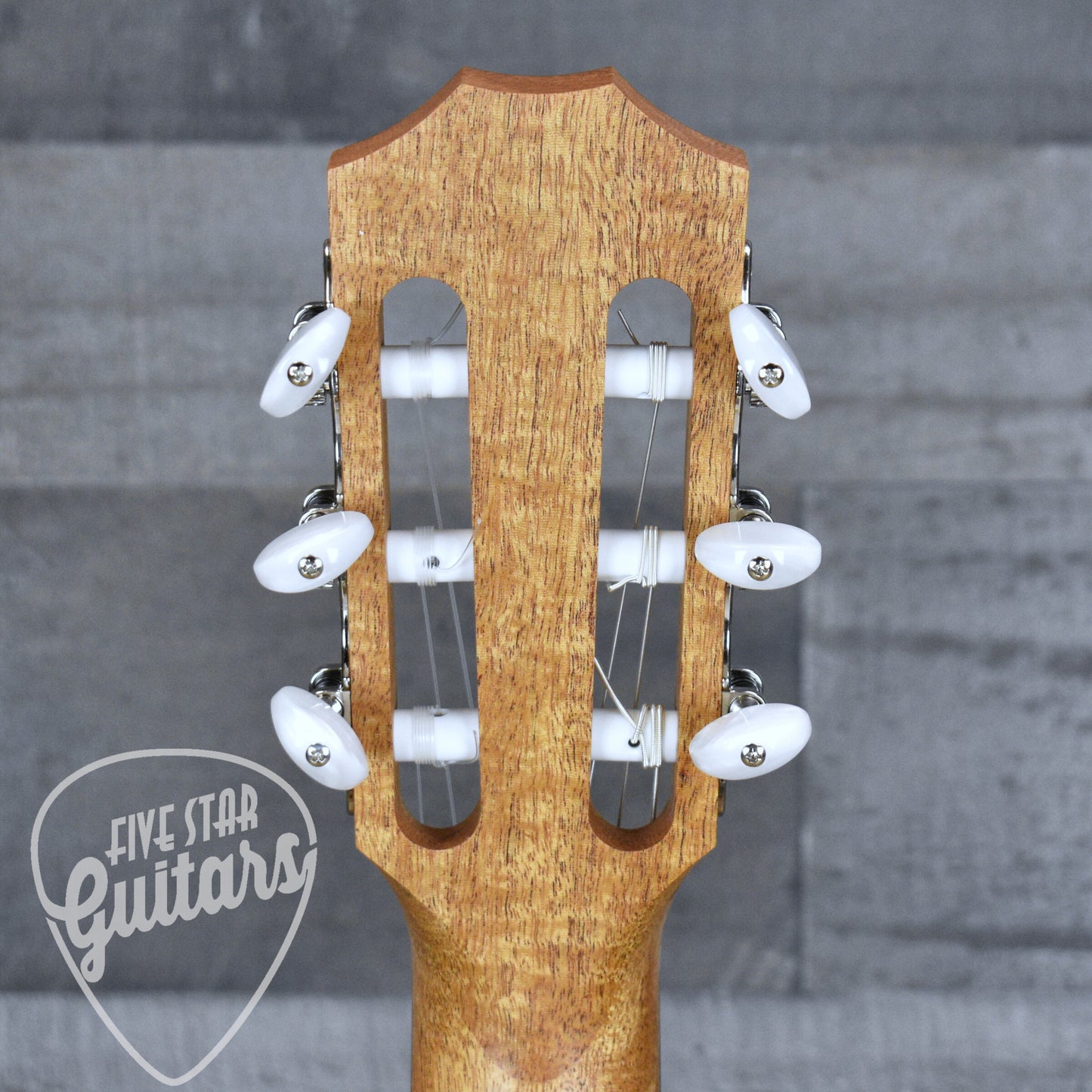 Taylor Academy 12e-N with Gig Bag