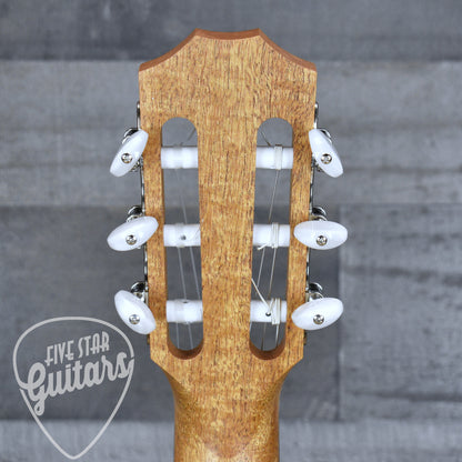 Taylor Academy 12e-N with Gig Bag
