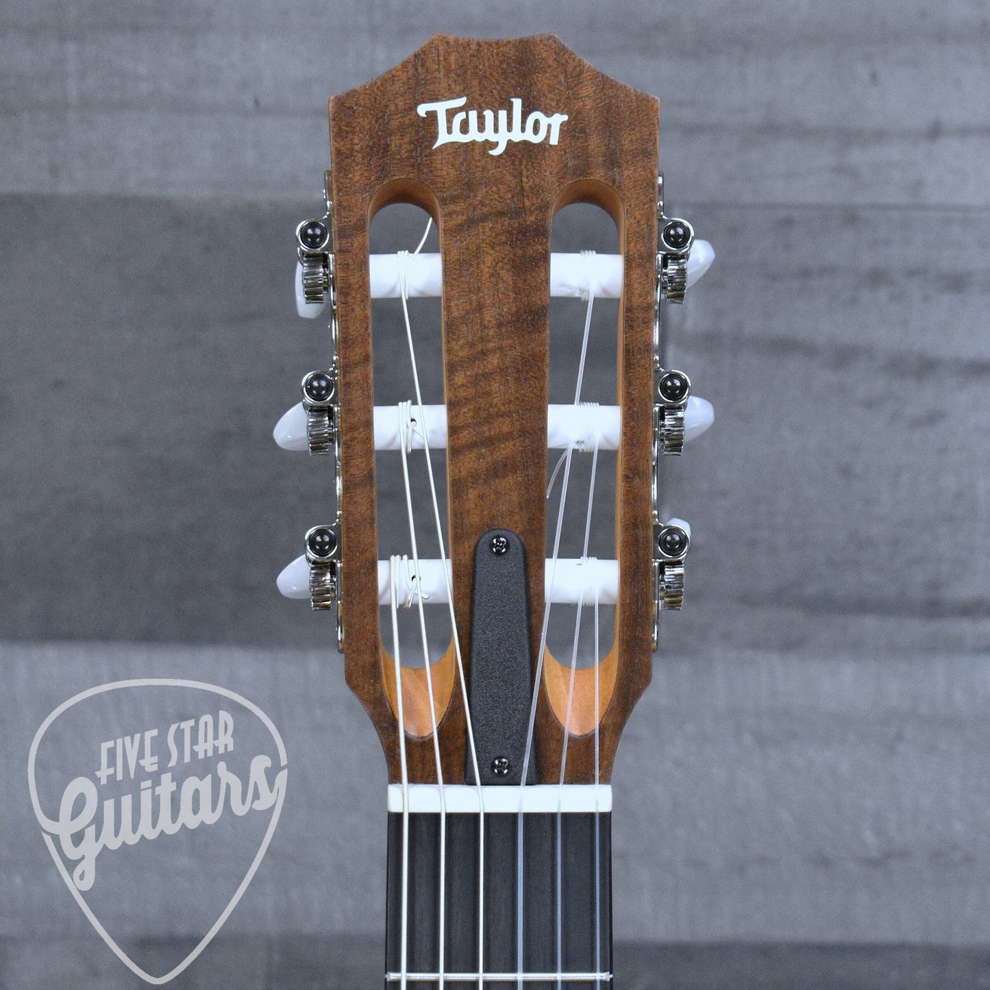 Taylor Academy 12e-N with Gig Bag