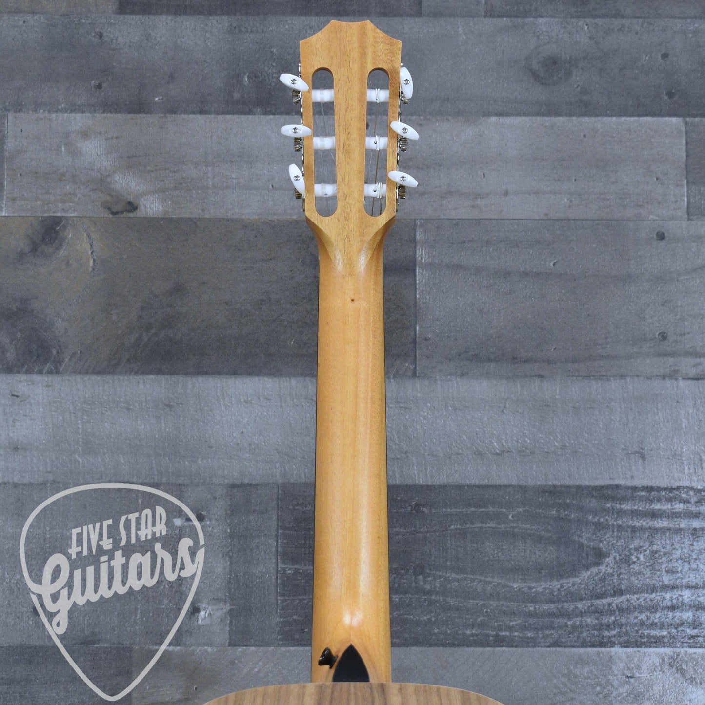 Taylor Academy 12e-N with Gig Bag
