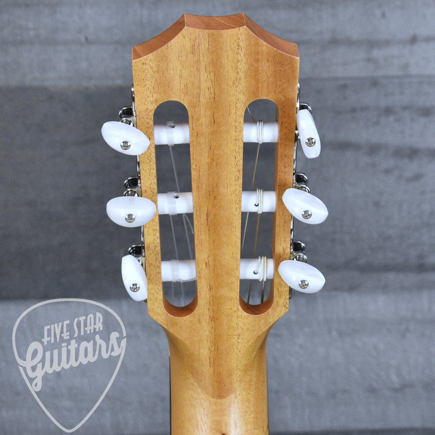 Taylor Academy 12e-N with Gig Bag