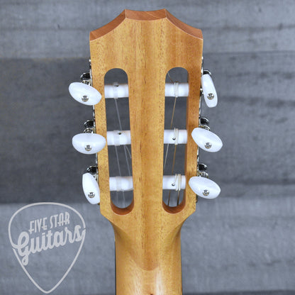 Taylor Academy 12e-N with Gig Bag