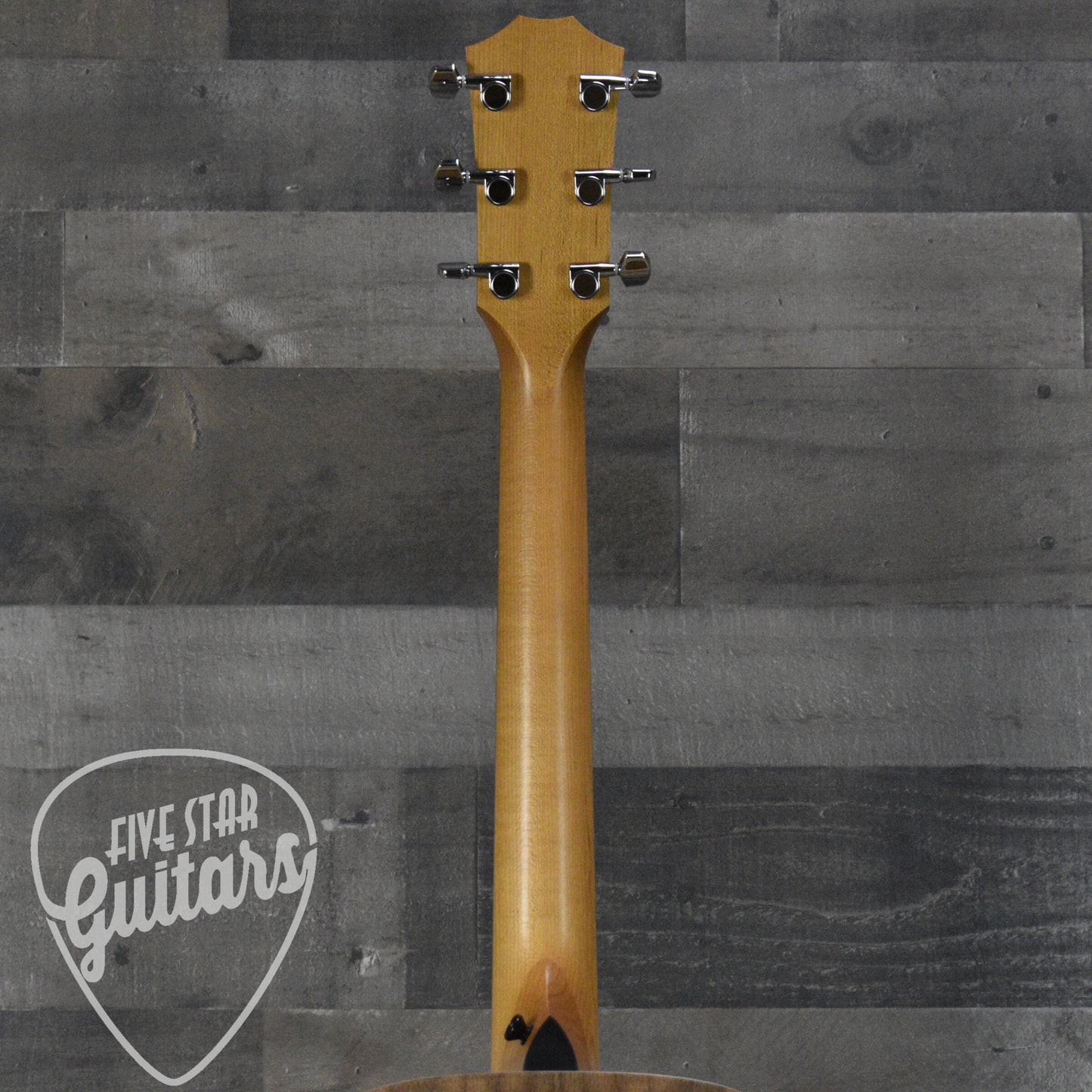Taylor Academy 12e with Gig Bag