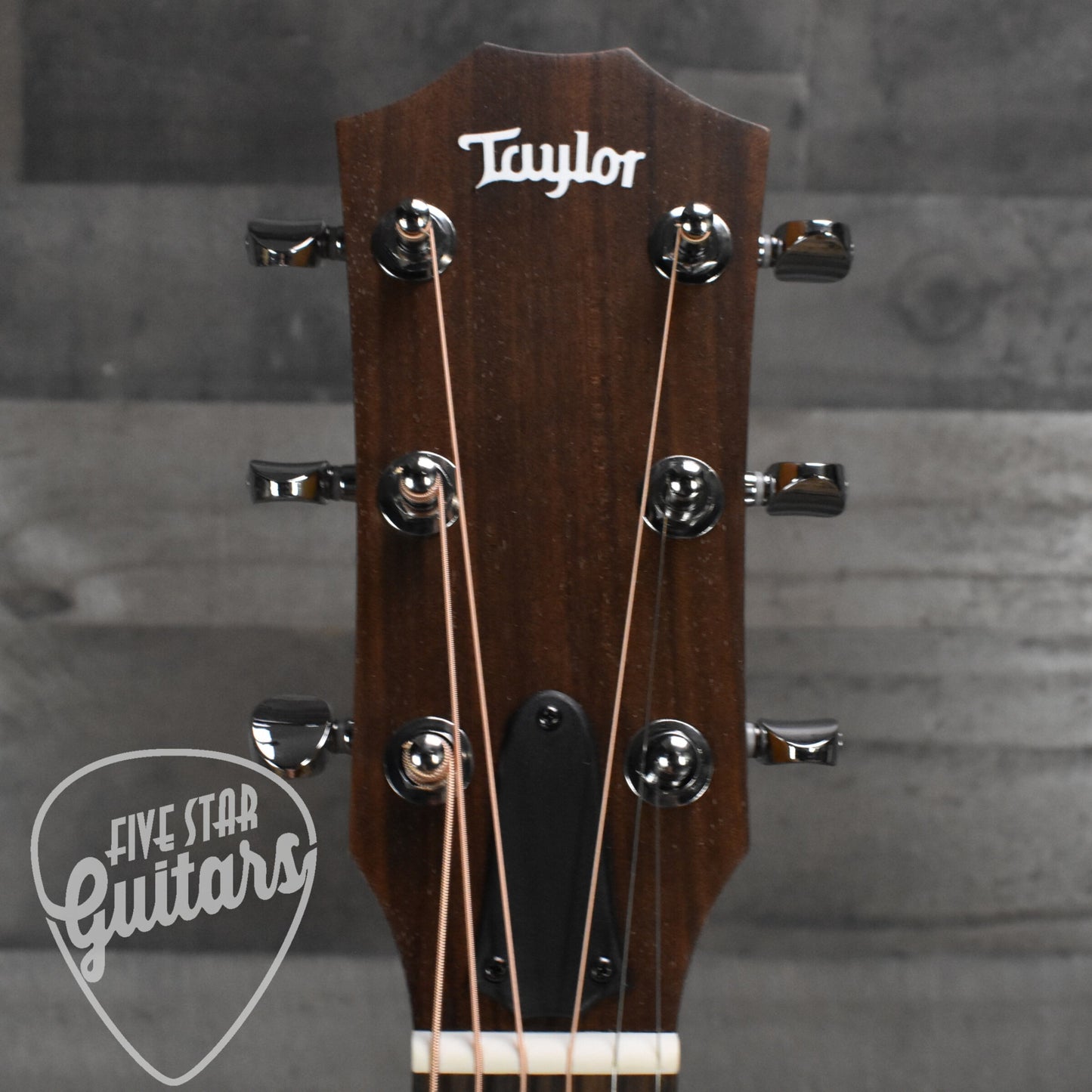 Taylor BBTe - Walnut with Gig Bag