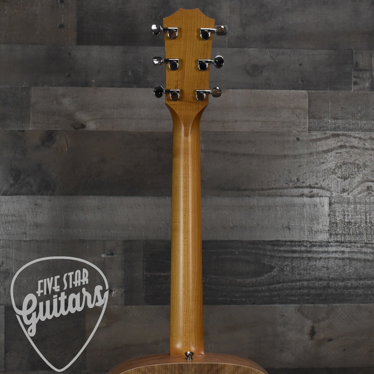 Taylor BBTe - Walnut with Gig Bag