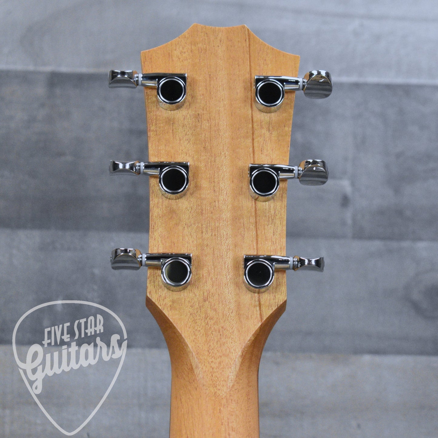 Taylor BBTe - Natural with Gigbag