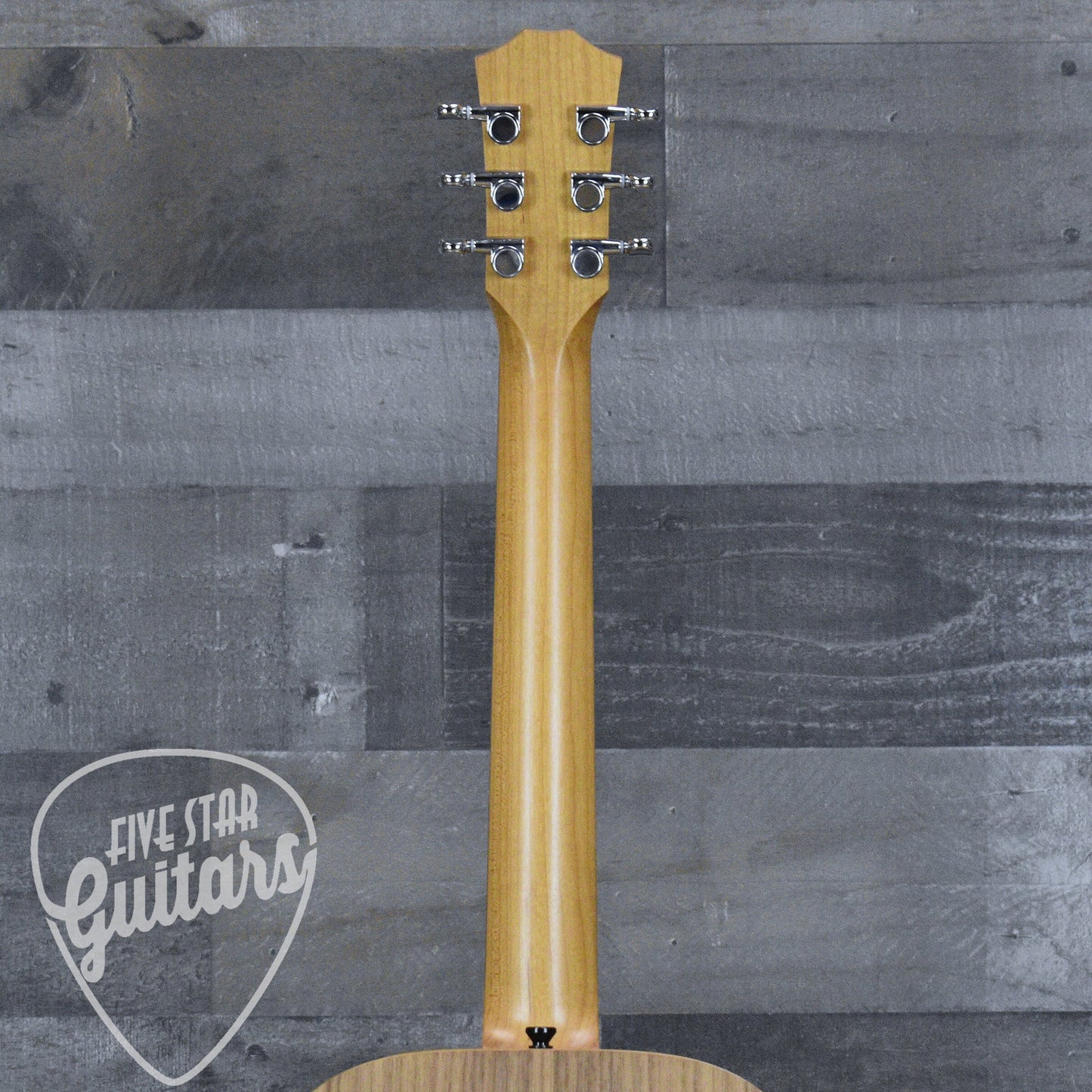 Taylor BT1e - Natural with Gig Bag