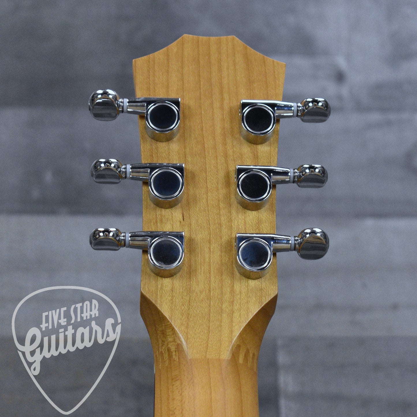 Taylor BT1e - Natural with Gig Bag