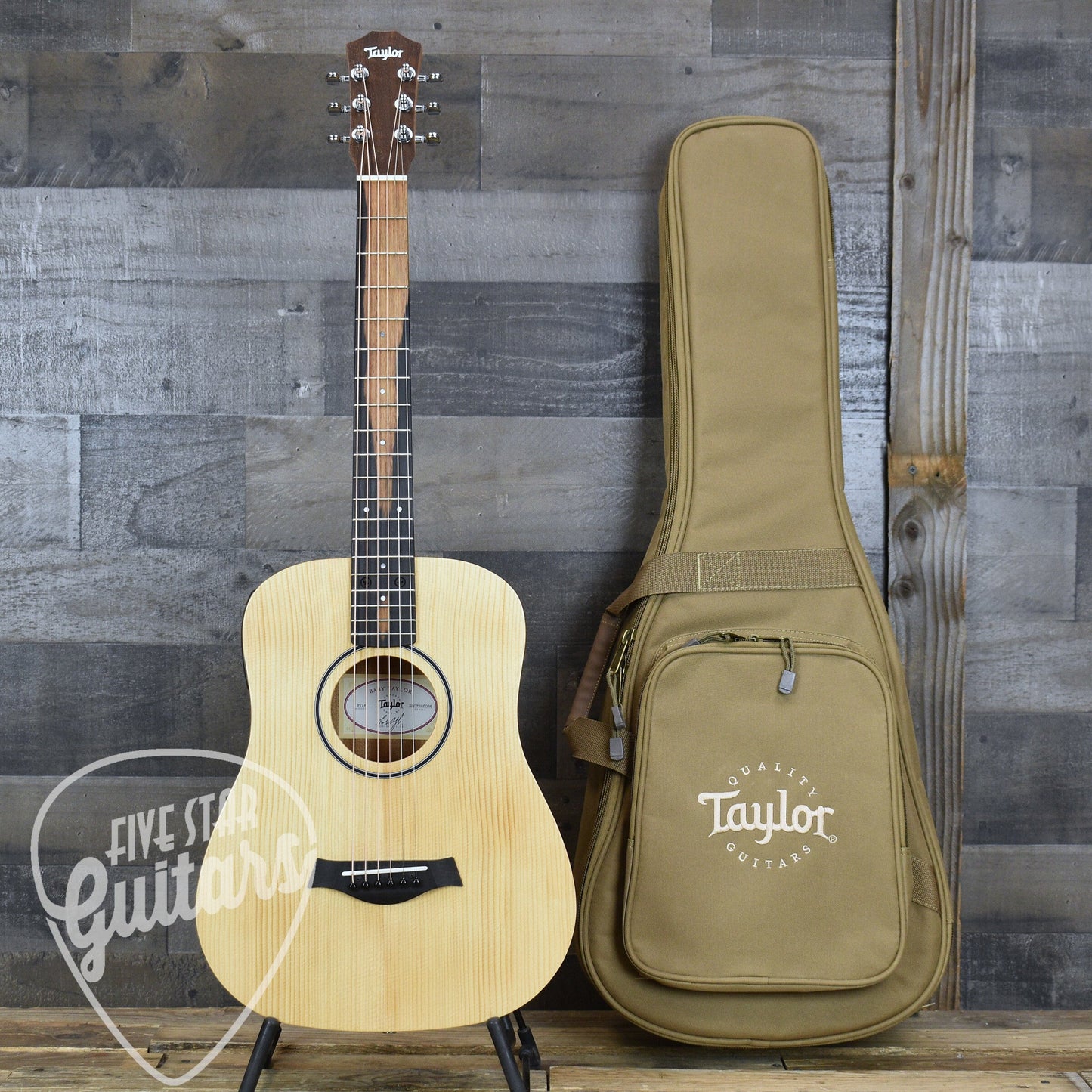 Taylor BT1e - Natural with Gig Bag