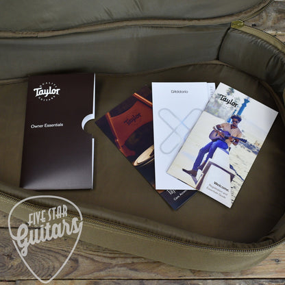 Taylor BT1e - Natural with Gig Bag