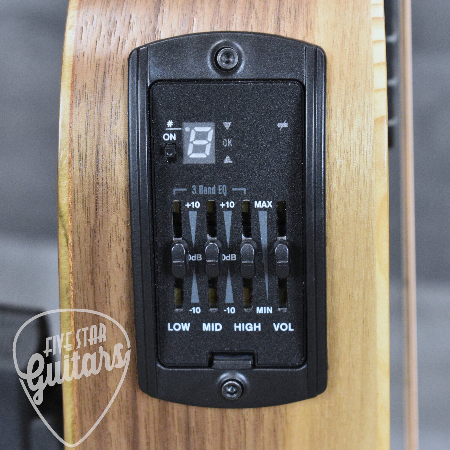 Taylor BT1e - Natural with Gig Bag