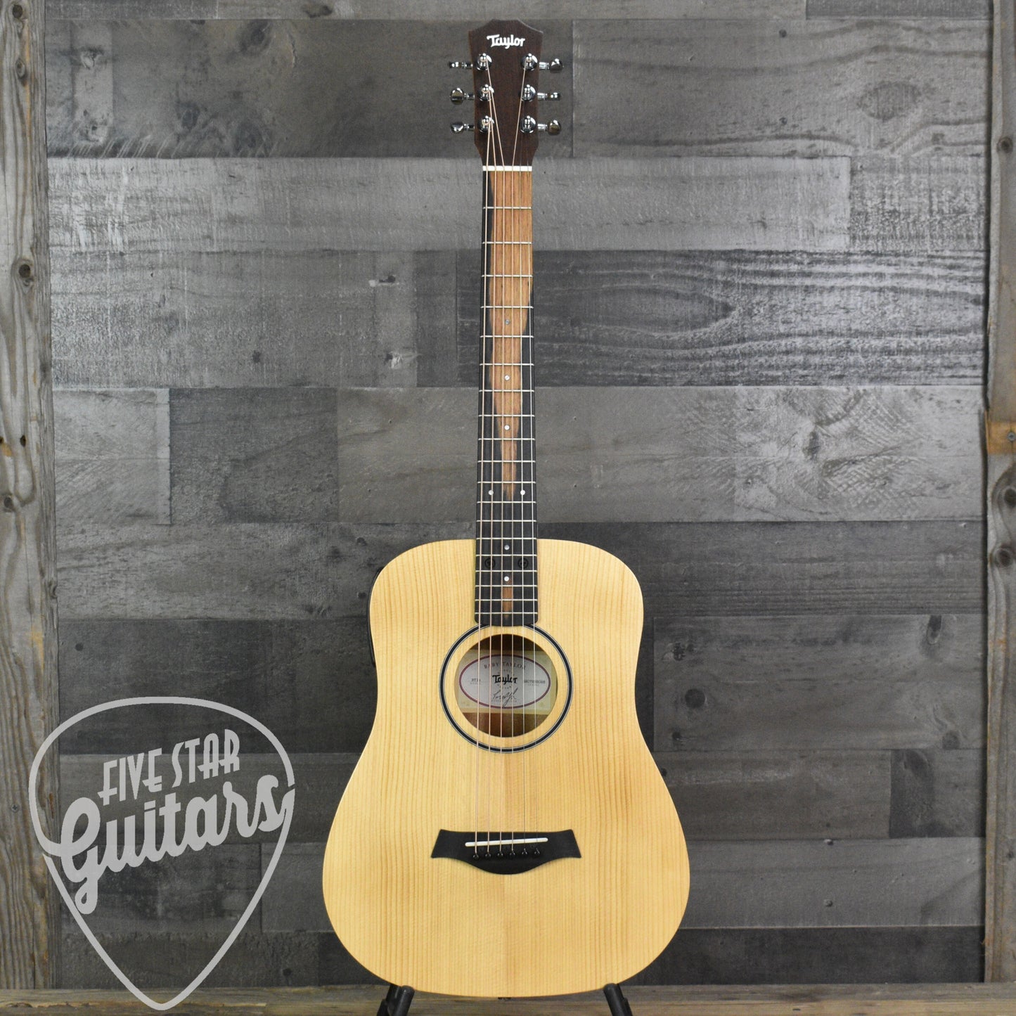 Taylor BT1e - Natural with Gig Bag