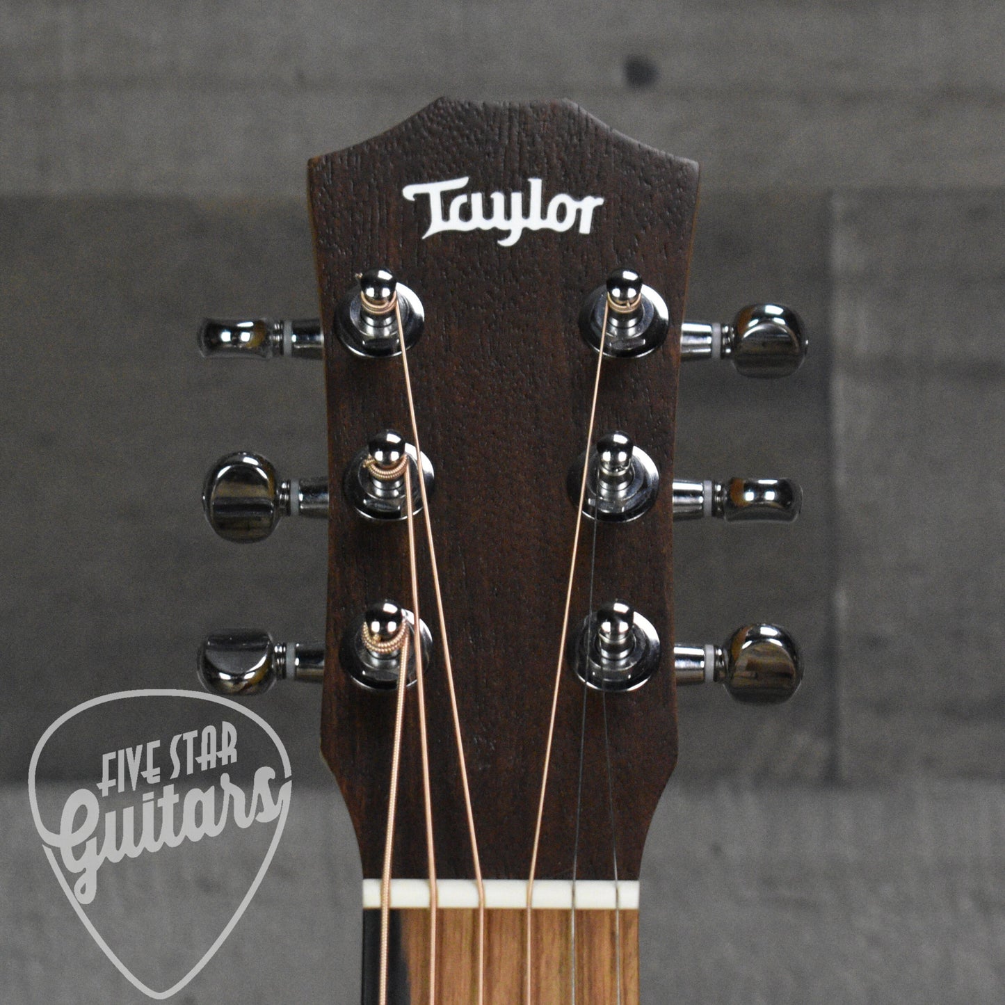 Taylor BT1e - Natural with Gig Bag