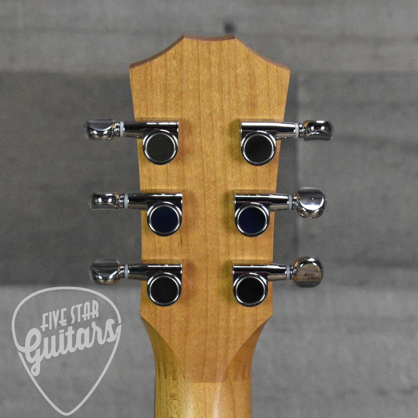 Taylor BT1e - Natural with Gig Bag