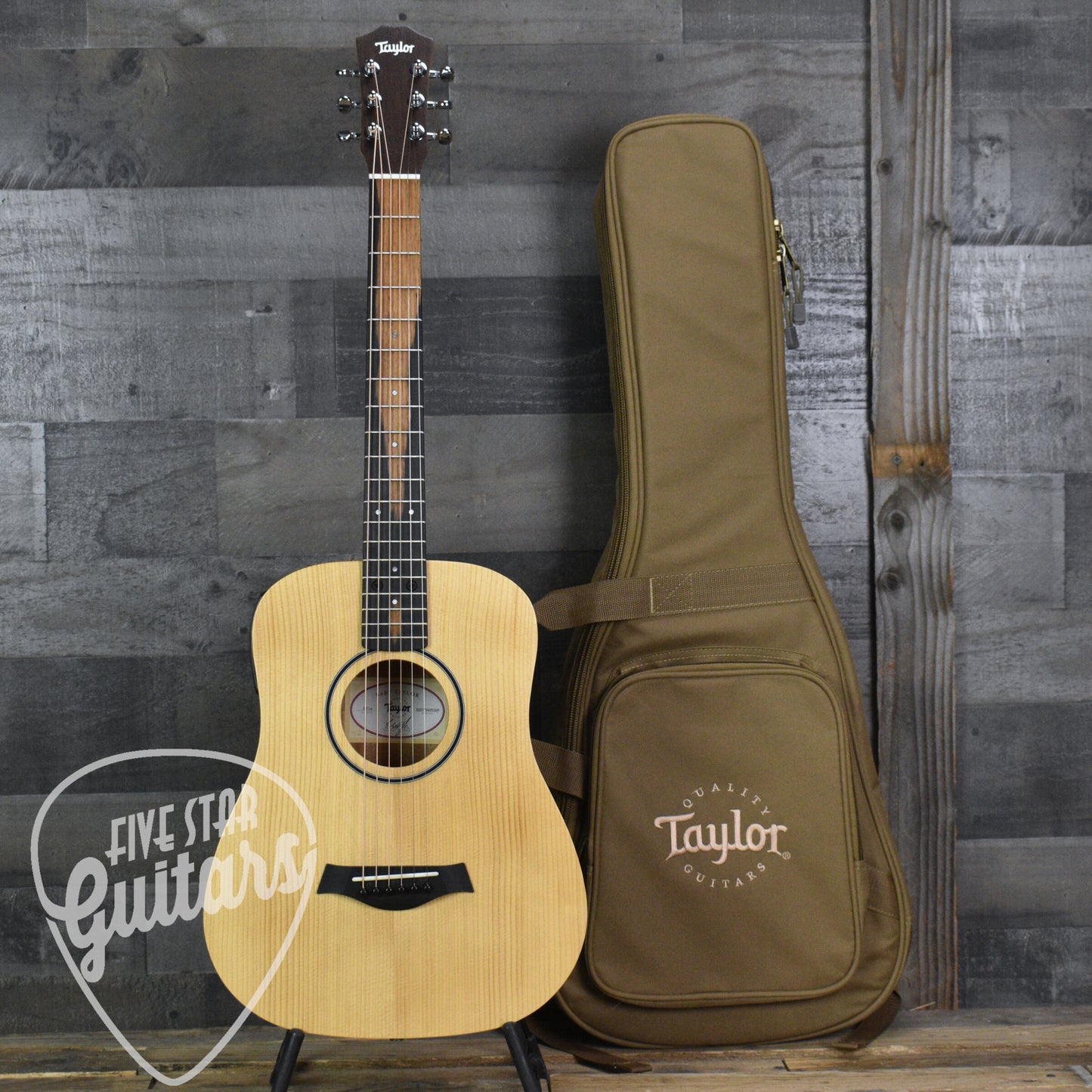 Taylor BT1e - Natural with Gig Bag