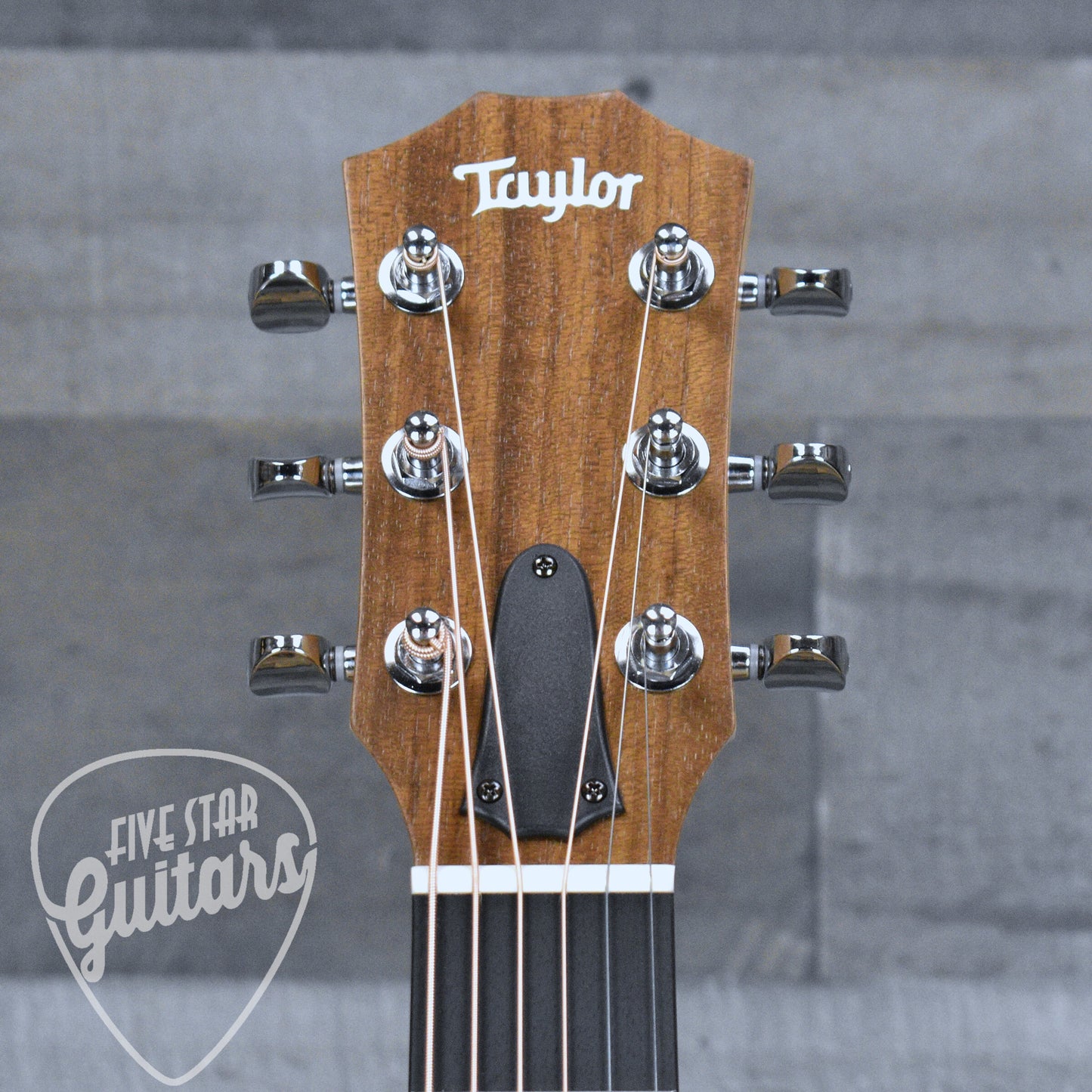 Taylor GS Mini Mahogany- Natural with Gig Bag