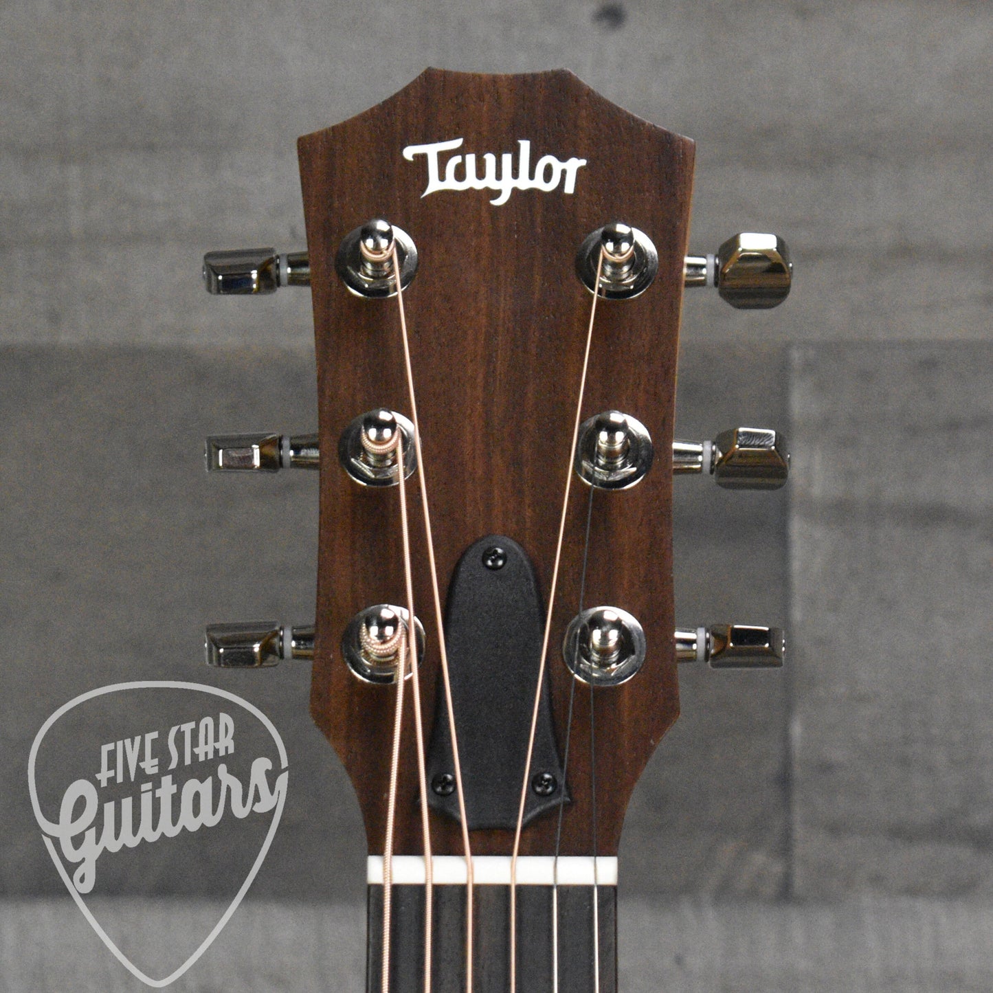 Taylor GS Mini-e Rosewood Plus with AeroCase