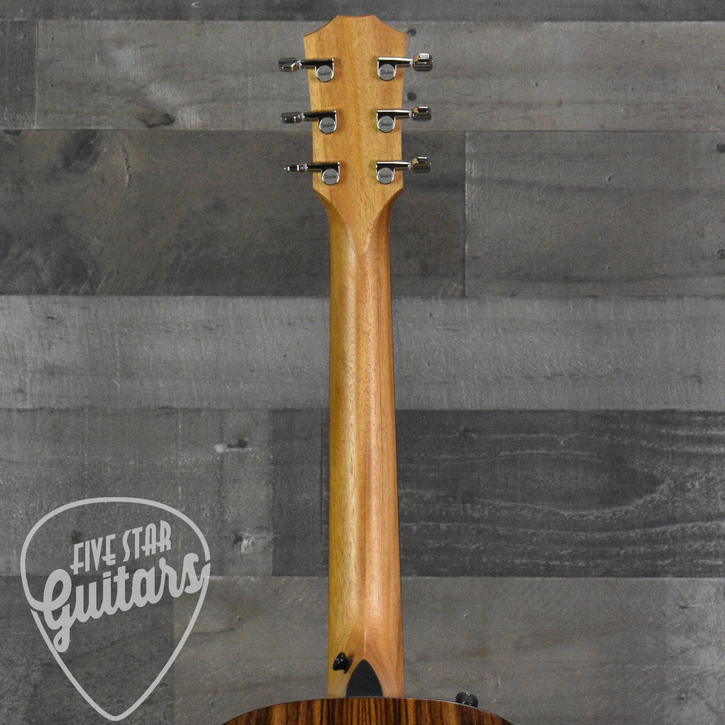 Taylor GS Mini-e Rosewood Plus with AeroCase