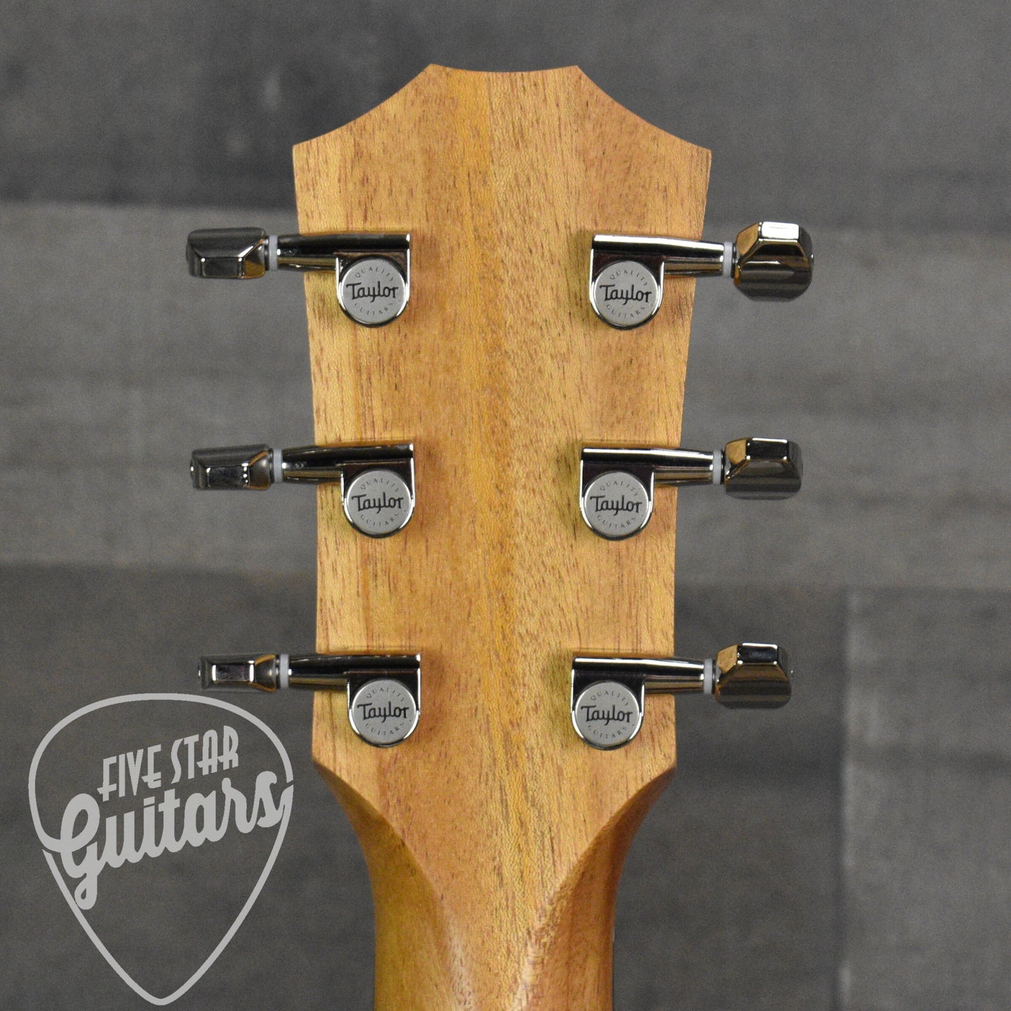 Taylor GS Mini-e Rosewood Plus with AeroCase