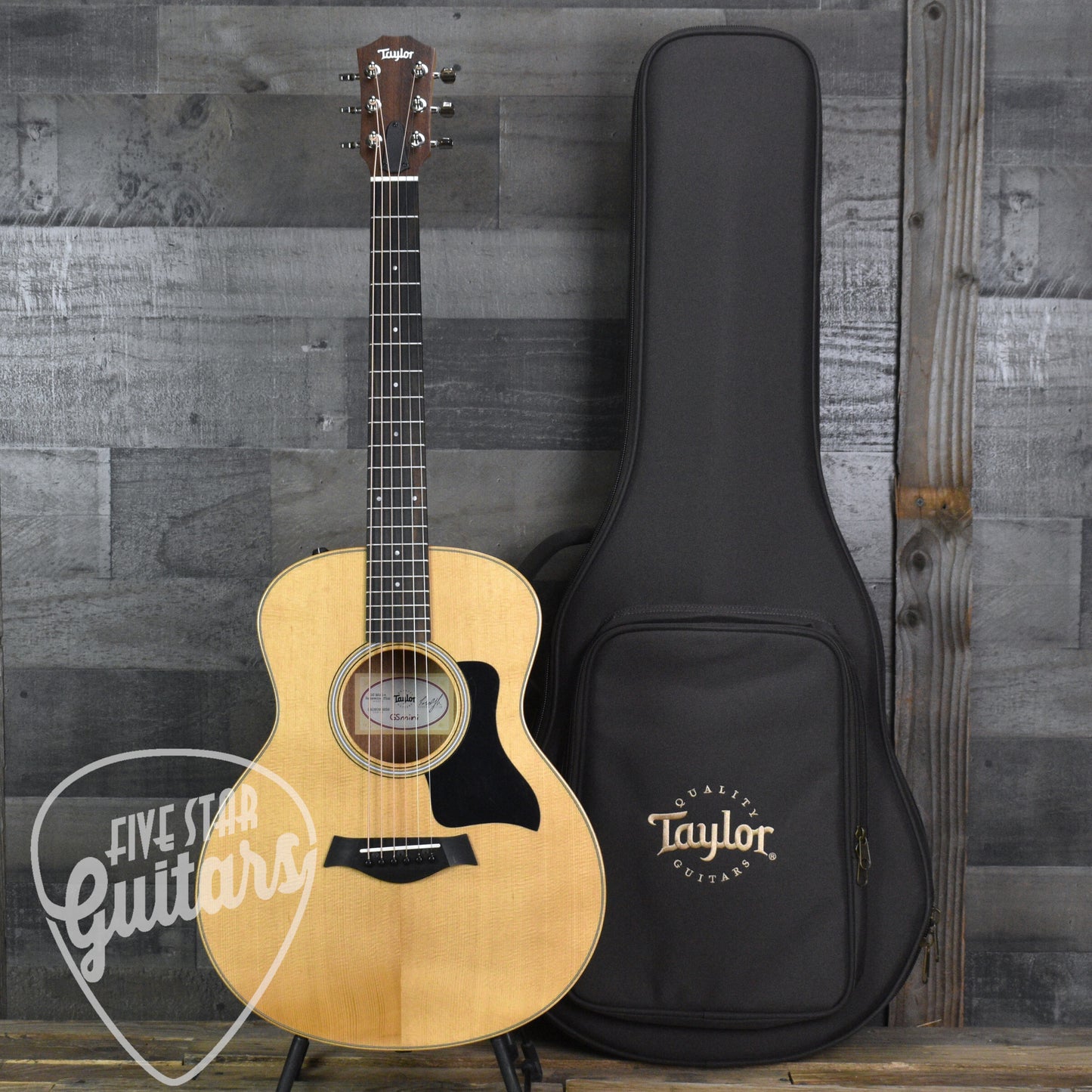 Taylor GS Mini-e Rosewood Plus with AeroCase