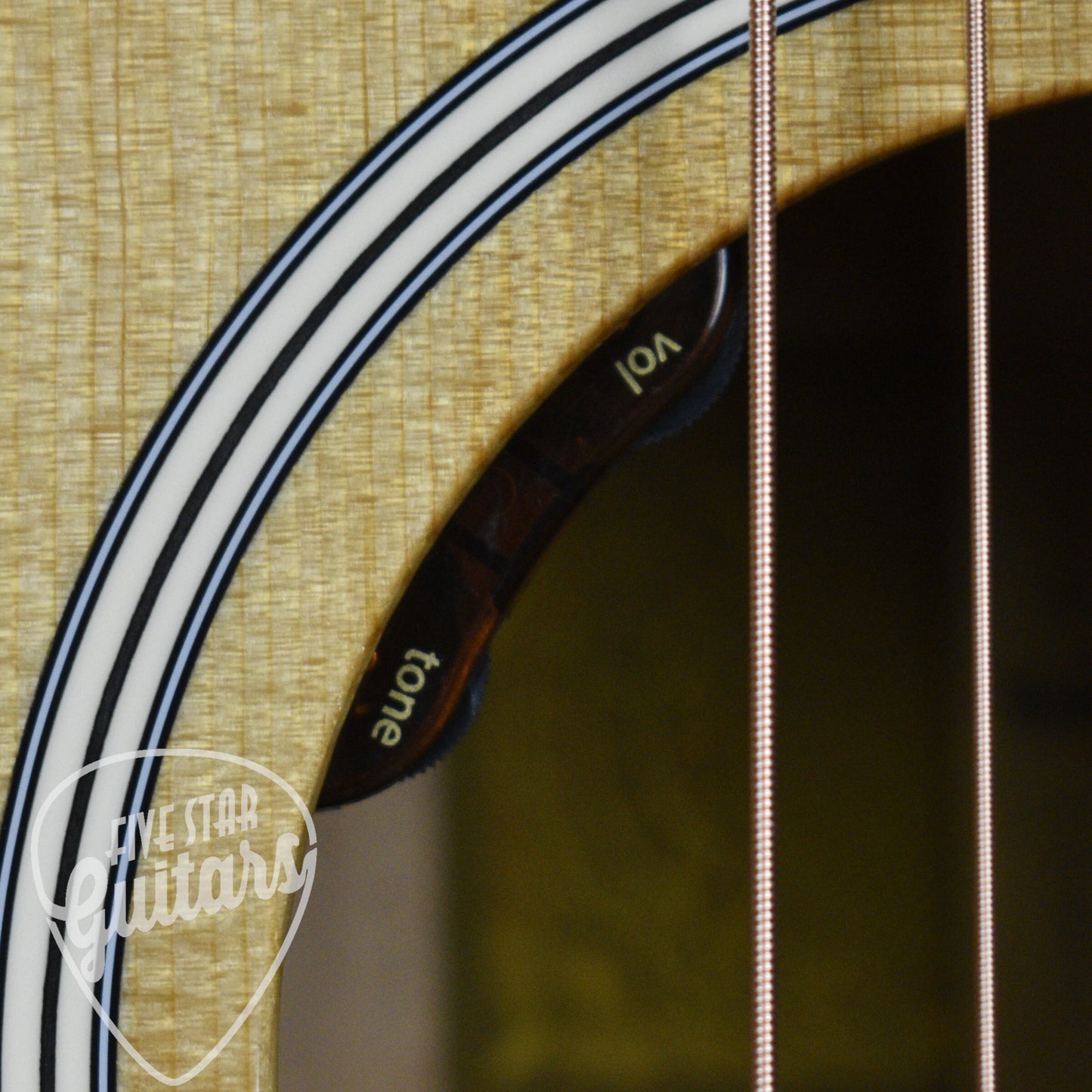 Taylor Gold Label 517e Dreadnought Acoustic Guitar - Gloss Natural Finish with Hardshell Case