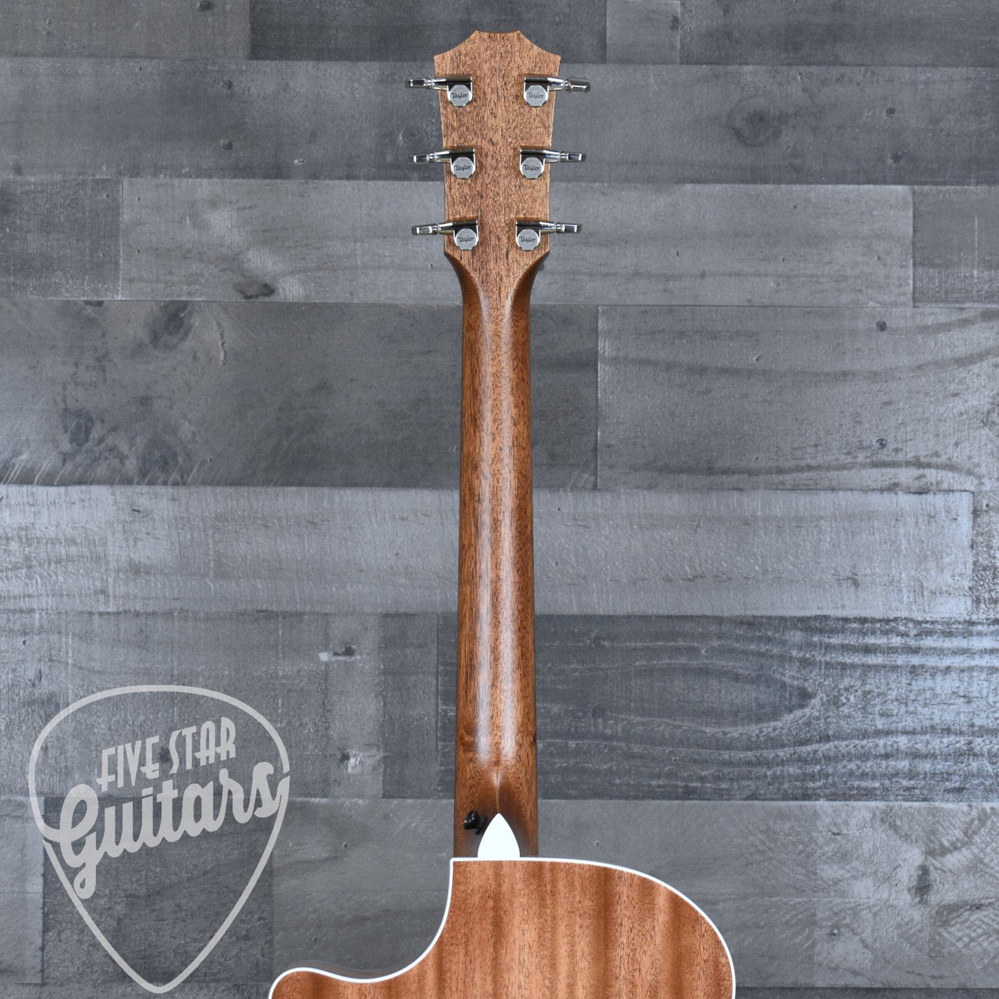 Taylor Next Gen 514ce - Natural with Hardshell Case