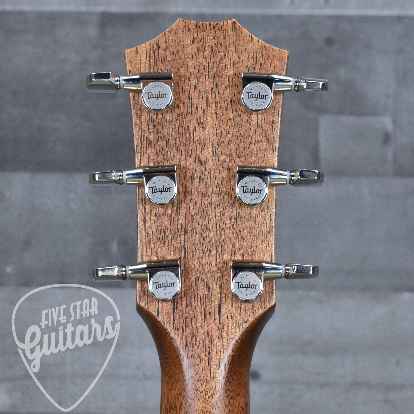 Taylor Next Gen 514ce - Natural with Hardshell Case